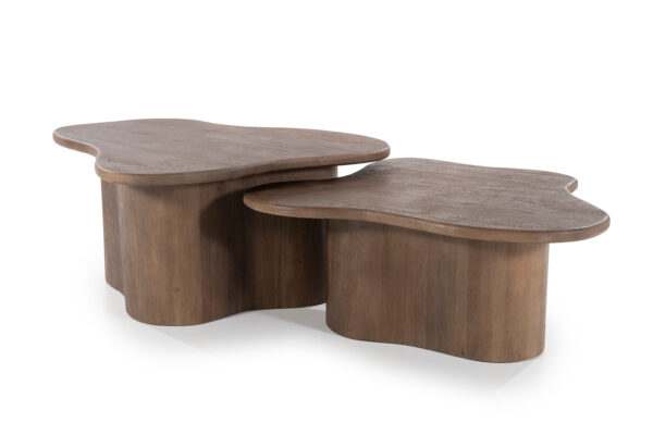 Fall salontafel set van 2