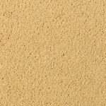 asteranne 6032