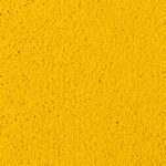 asteranne 6116