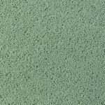asteranne 7944