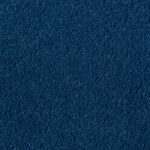 asteranne 8801