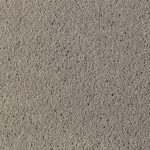asteranne 9104