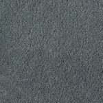 asteranne 9504