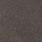 asteranne 9532
