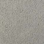 asteranne 9536