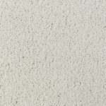 asteranne 9538
