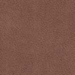 Coffee Brown BLJ