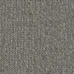 Tex taurus thyme 9384